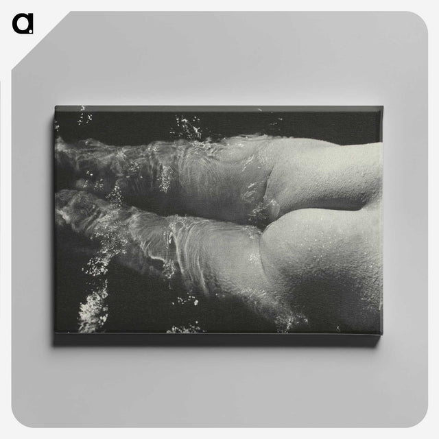 1-49_Alfred-Stieglitz_canvas