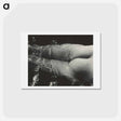 アートポストカード-Rebecca Salsbury Strand - アルフレッド スティーグリッツ Postcard.