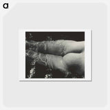 アートポストカード-Rebecca Salsbury Strand - アルフレッド スティーグリッツ Postcard.
