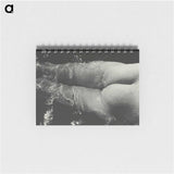 1-49_Alfred-Stieglitz_memo
