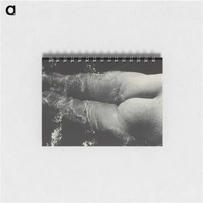 アートメモ帳-Rebecca Salsbury Strand - アルフレッド スティーグリッツ Memo.