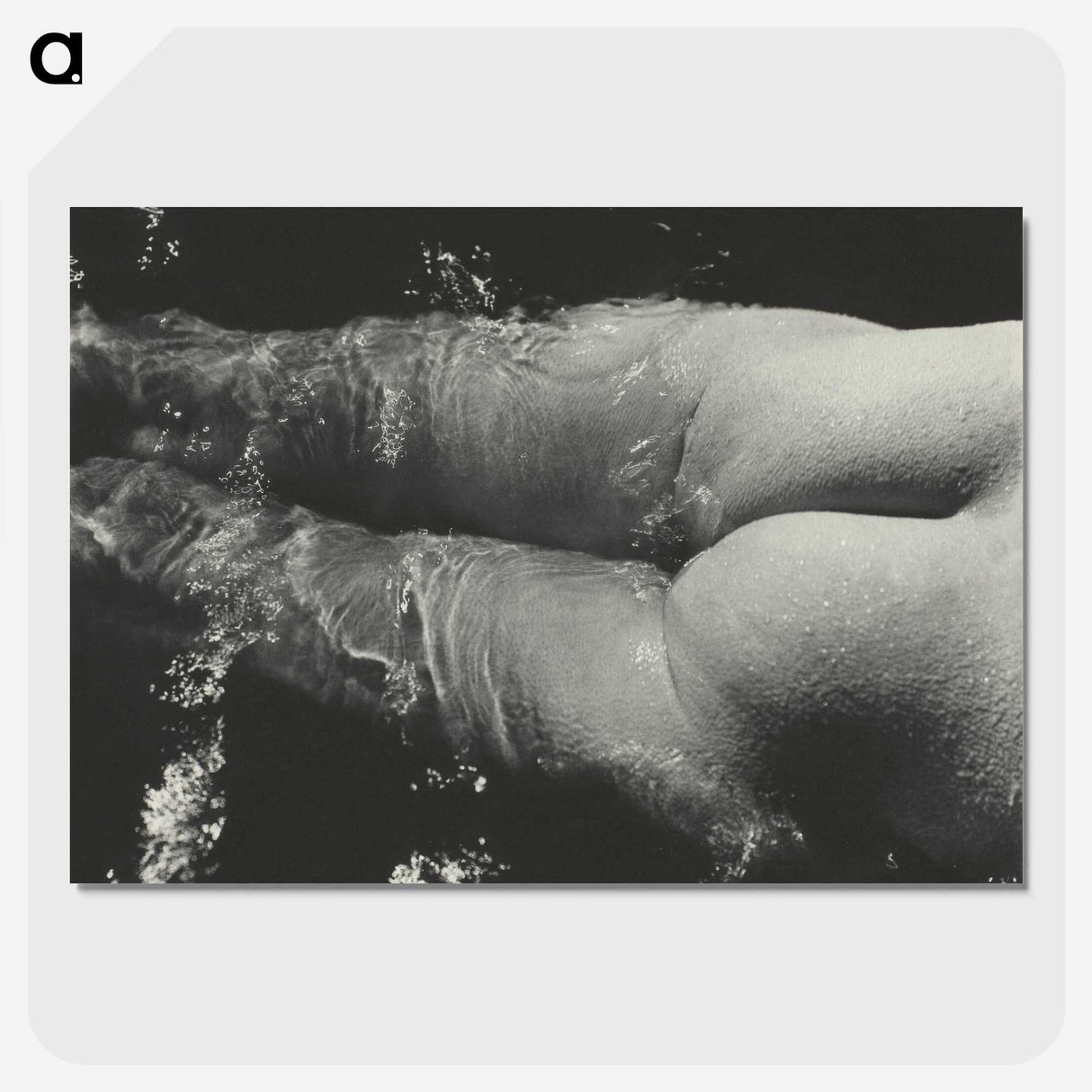 1-49_Alfred-Stieglitz_picture-crop
