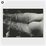 1-49_Alfred-Stieglitz_picture-crop
