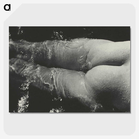 1-49_Alfred-Stieglitz_picture-crop