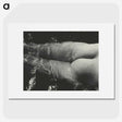 1-49_Alfred-Stieglitz_picture