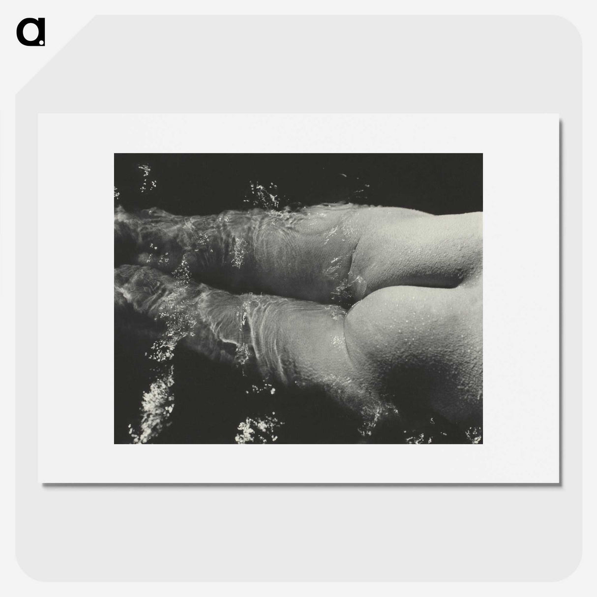 1-49_Alfred-Stieglitz_picture