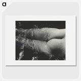 1-49_Alfred-Stieglitz_picture