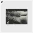 1-49_Alfred-Stieglitz_postcard