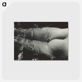 アートポストカード-Rebecca Salsbury Strand - アルフレッド スティーグリッツ Postcard.