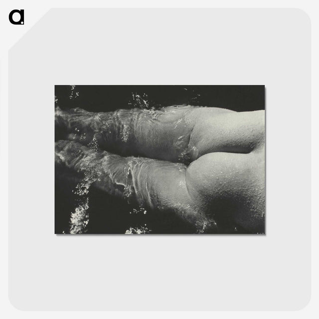 1-49_Alfred-Stieglitz_postcard