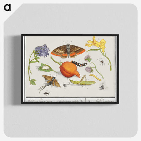 1-49_Anselmus-Boetius-de-Boodt_blk-crop
