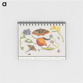 1-49_Anselmus-Boetius-de-Boodt_memo
