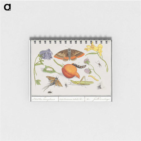 1-49_Anselmus-Boetius-de-Boodt_memo