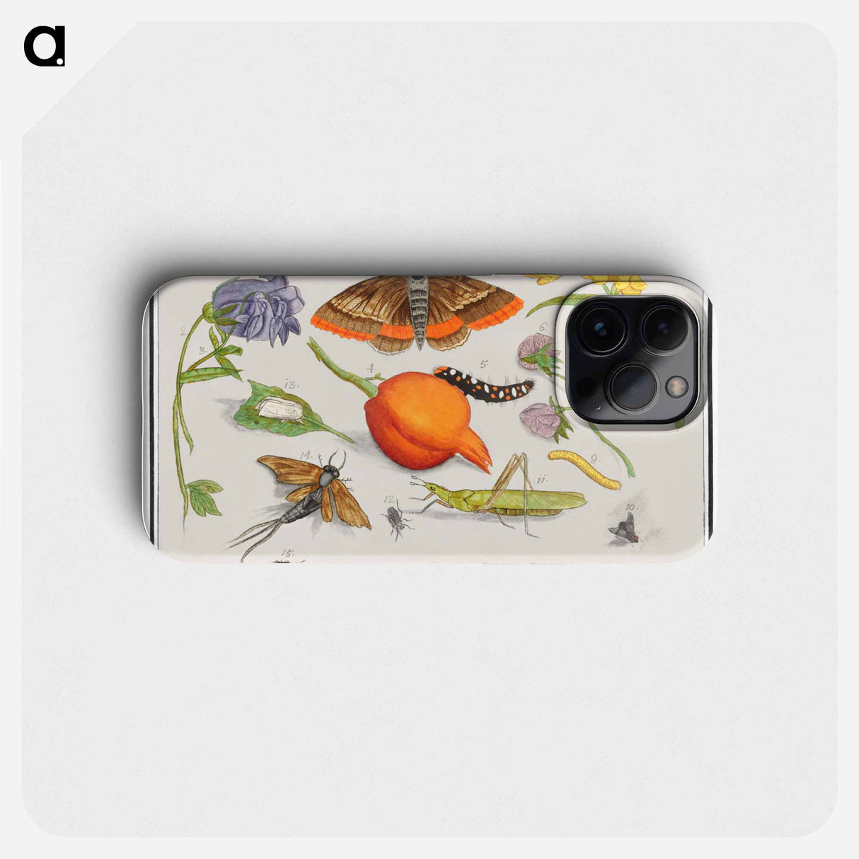 Natural History Ensemble, no. 14 - アンセルムス ボエティウス デ ブート Phone Case.