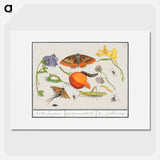 Natural History Ensemble, no. 14 - アンセルムス ボエティウス デ ブート Poster.