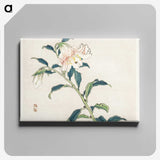 1-49_Bairei-Gakan_canvas
