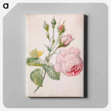 アートパネル-Pink Rose and Yellow Butterfly
 - バーンズ・コレクション Canvas.