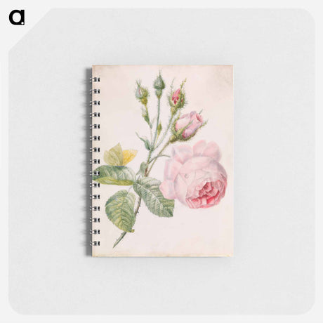 アートメモ帳-Pink Rose and Yellow Butterfly
 - バーンズ・コレクション Memo.