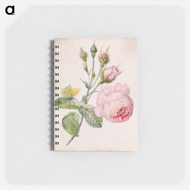 アートメモ帳-Pink Rose and Yellow Butterfly
 - バーンズ・コレクション Memo.