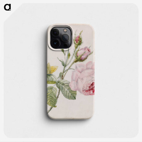 1-49_Barnes-Foundation_phone
