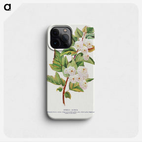 1-49_Botanical-Specimen-Plates_phone