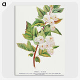 1-49_Botanical-Specimen-Plates_picture-crop