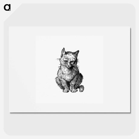 アートポスター-Victorian Cat Engraving
 - 大英図書館 Poster.