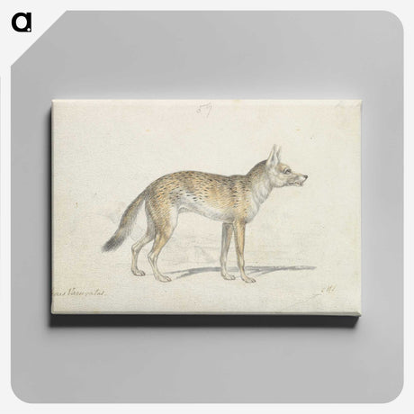 1-49_Charles-Hamilton-Smith_canvas