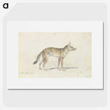 1-49_Charles-Hamilton-Smith_picture