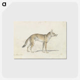 1-49_Charles-Hamilton-Smith_postcard