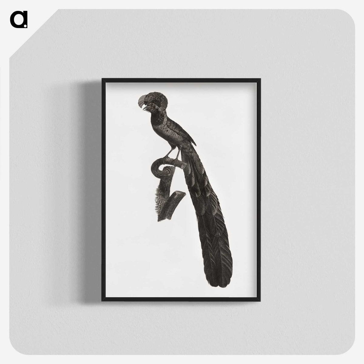 1-49_Des-Oiseaux-de-Paradis_blk-crop