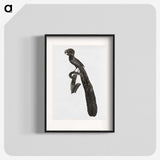 1-49_Des-Oiseaux-de-Paradis_blk