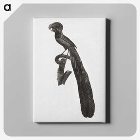1-49_Des-Oiseaux-de-Paradis_canvas