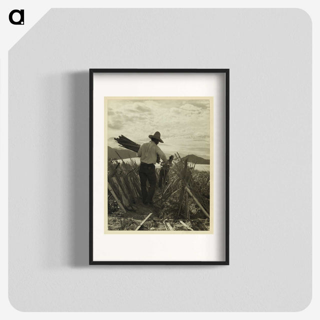 1-49_Dorothea-Lange_blk