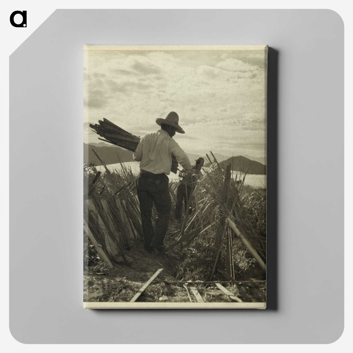 1-49_Dorothea-Lange_canvas