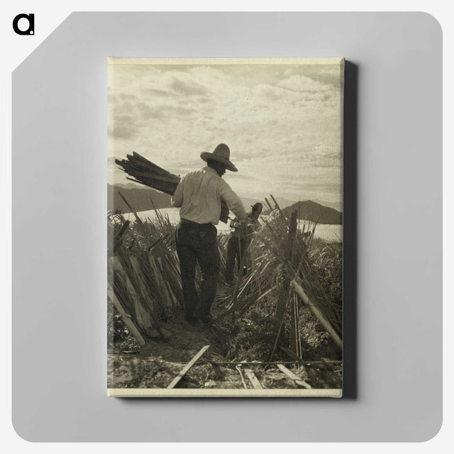 1-49_Dorothea-Lange_canvas