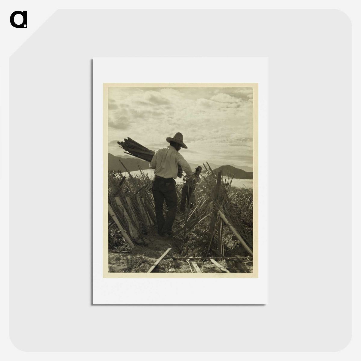 1-49_Dorothea-Lange_hagaki