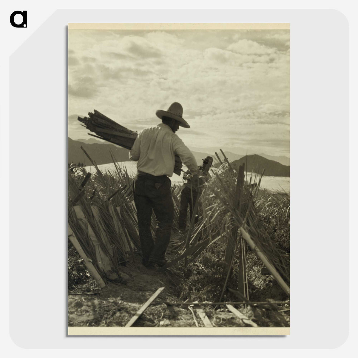 1-49_Dorothea-Lange_picture-crop
