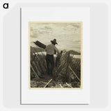 Establishment of rural rehabilitation camps for migrants in California - Dorothea Lange Poster.