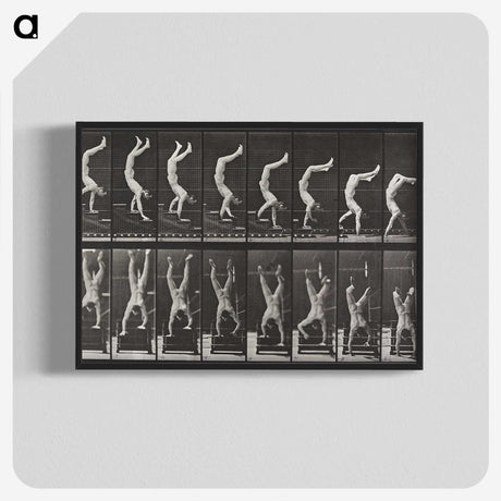 1-49_Eadweard-Muybridge_blk-crop