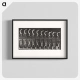 1-49_Eadweard-Muybridge_blk