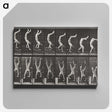 1-49_Eadweard-Muybridge_canvas