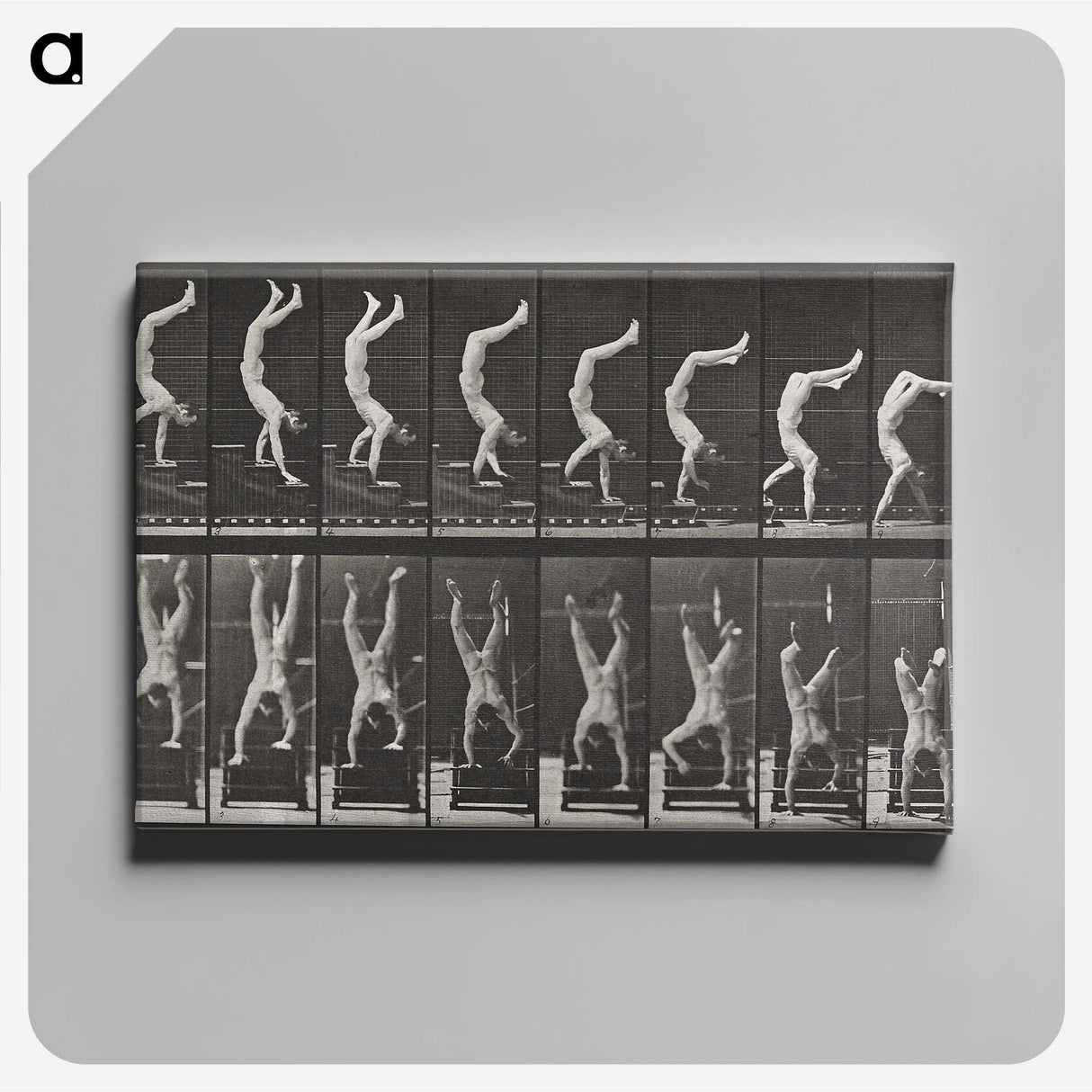 1-49_Eadweard-Muybridge_canvas