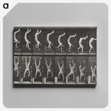 1-49_Eadweard-Muybridge_canvas