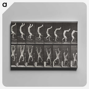 1-49_Eadweard-Muybridge_canvas