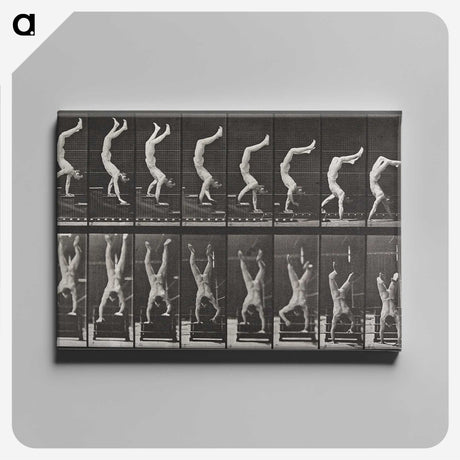 1-49_Eadweard-Muybridge_canvas