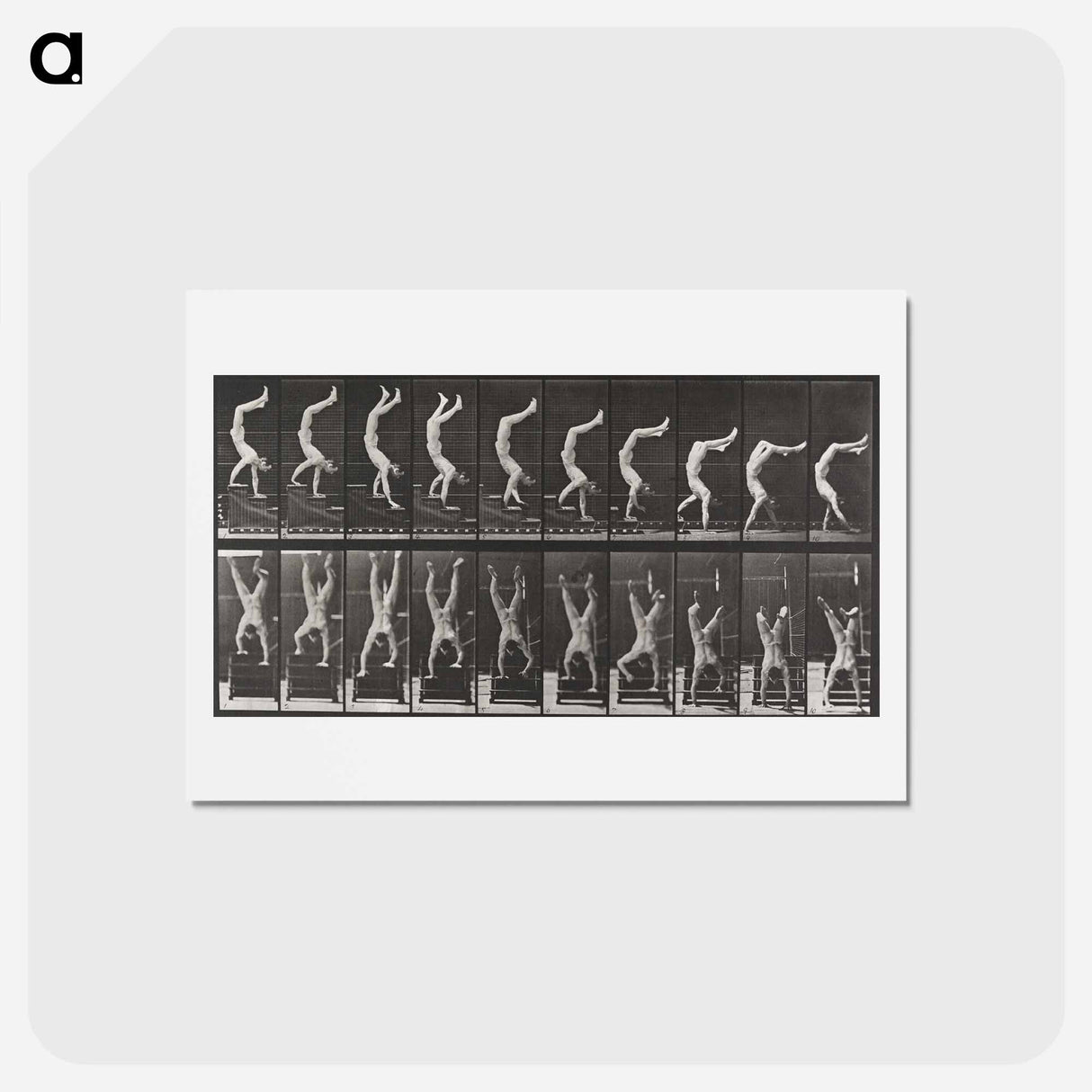 アートポストカード-Acrobat Descending Stairs
 - エドワード マイブリッジ Postcard.