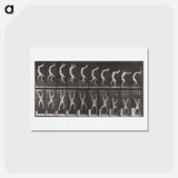 アートポストカード-Acrobat Descending Stairs
 - エドワード マイブリッジ Postcard.