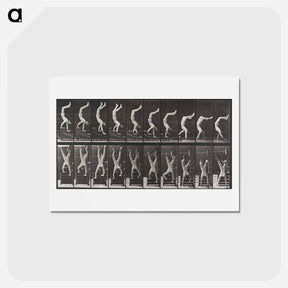 アートポストカード-Acrobat Descending Stairs
 - エドワード マイブリッジ Postcard.