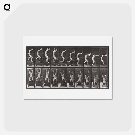 アートポストカード-Acrobat Descending Stairs
 - エドワード マイブリッジ Postcard.